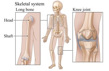 bone Tumor specialist in kolkata
